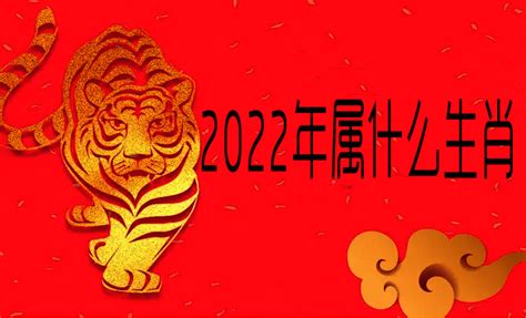 2022年生肖|2022年属什么生肖